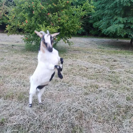 Appartement Casa Lilly San Paolo Solbrito