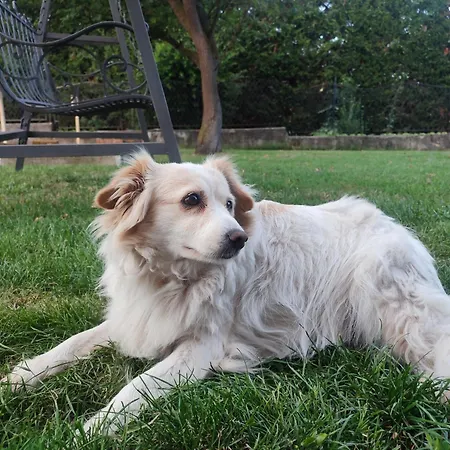 Casa Lilly Apartmán San Paolo Solbrito