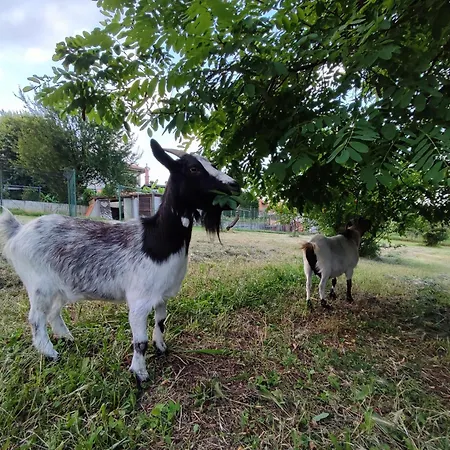 Casa Lilly * San Paolo Solbrito