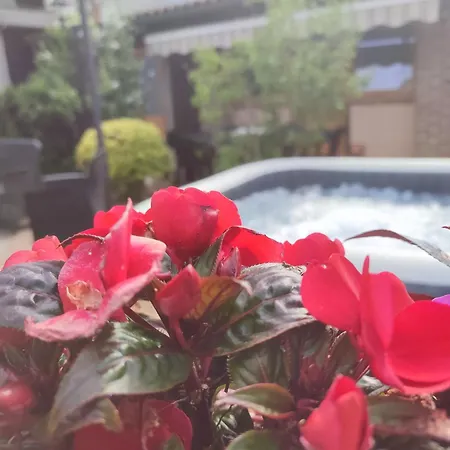 Casa Lilly Apartmán *