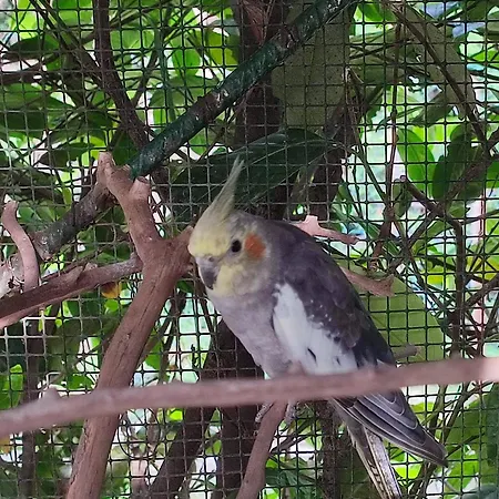 Appartement Casa Lilly San Paolo Solbrito