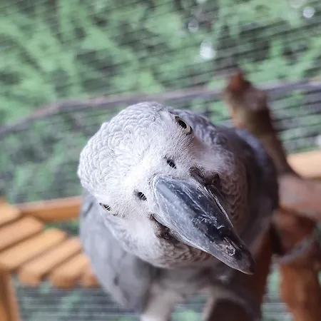 Casa Lilly Appartement San Paolo Solbrito