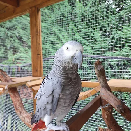 Appartement Casa Lilly San Paolo Solbrito