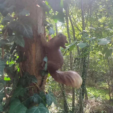 Appartement Casa Lilly *