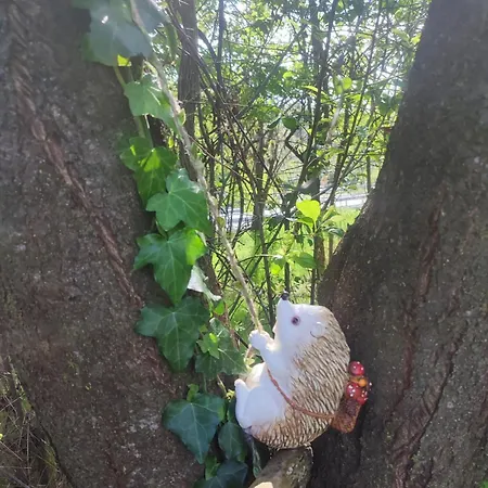 Casa Lilly San Paolo Solbrito