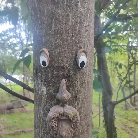 Appartement Casa Lilly