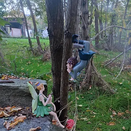 Apartmán Casa Lilly *