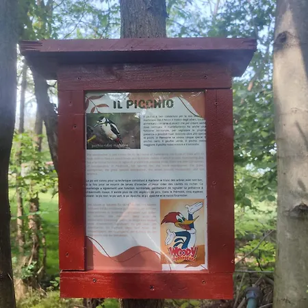 Casa Lilly San Paolo Solbrito