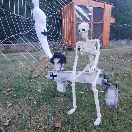 Casa Lilly San Paolo Solbrito