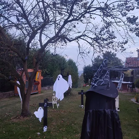 Appartement Casa Lilly *