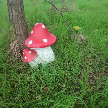 Appartement Casa Lilly