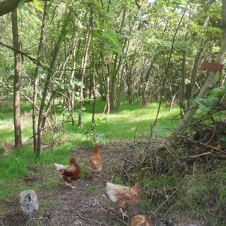 Casa Lilly Apartmán