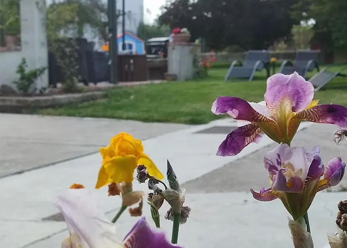 Daire Casa Lilly San Paolo Solbrito