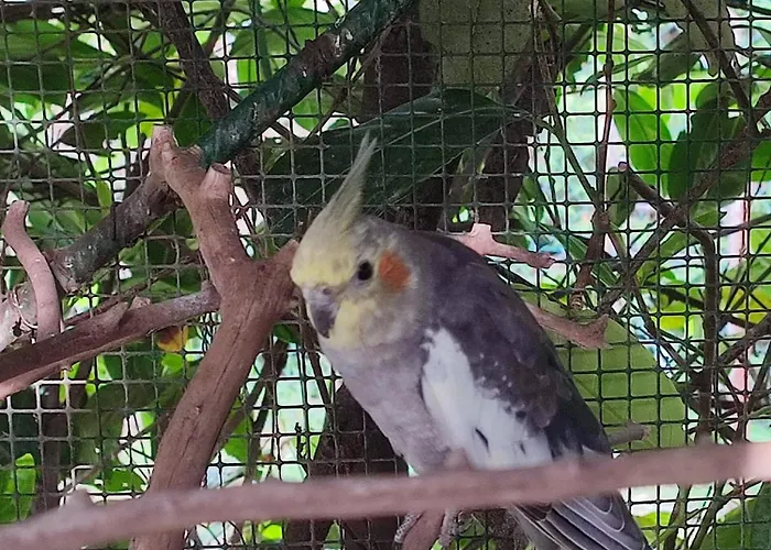 Appartement Casa Lilly San Paolo Solbrito